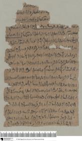Demotischer Papyrus, Hochformatbrief, Aufforderung zu Untersuchung unter Priestern