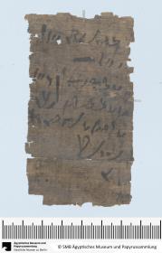Demotischer Papyrus, Abrechnung über Lieferung von 7 Rindern (?)