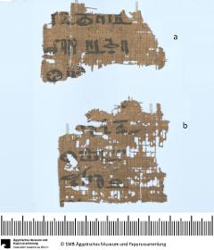 Hieratische Papyrusfragmente, religiöser Text (?)