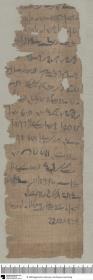 Demotischer Papyrus, Abrechnung, Zuteilung von Emmer