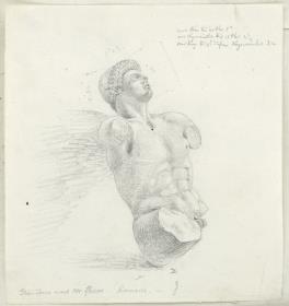 Aegineten-Skizzen: Kopf und Torso eines Jünglings