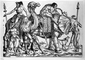 Wilde mit Kamel und Elefant
