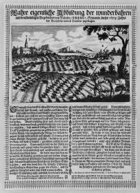 Flugblatt: Wahre eigentliche Abbildung der wunderbahren und denckwürdigen Begebenheit von Mäusen / so sich den 1.Septembr. dieses 1675. Jahrs bey Brochdorp unweit Hanover zugetragen