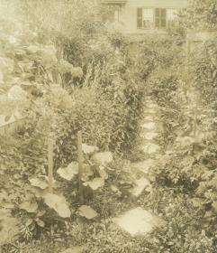 Salem, Garten