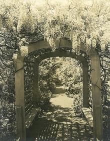 Salem, Garten: Miss Susan E. Osgoodsgarten