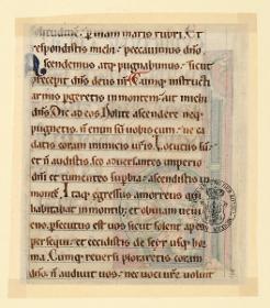 Schriftseite, Bibel, Maasgebiet