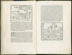Columna, Franciscus: Hypnerotomachia Poliphili.