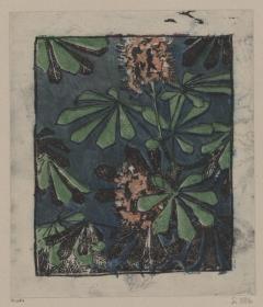 Kastanienblätter und-blüten