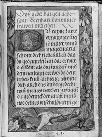Gebetbuch des Matthäus Schwarz. Textseite, in der Umrandung Putto, numeriert 43, sowie Pfau, Vögel und Pflanzen