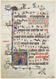 Randleiste mit Drolerie und Initiale D