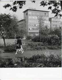 Robert Bosch GmbH, Unternehmenszentrale in der Stuttgarter Breitscheidstraße