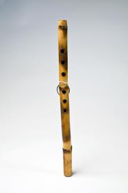 salamiya