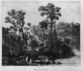 "Rio Panahyba"