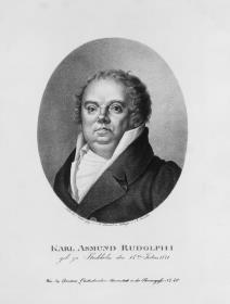 Karl Asmund Rudolphi