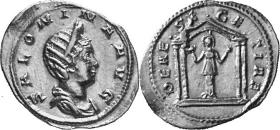 Salonina