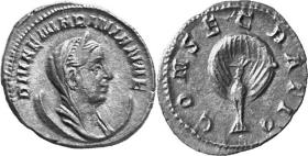 Diva Mariniana