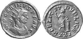 Carinus