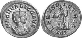 Magnia Urbica