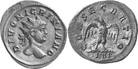 Divus Nigrinianus