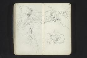 Kakadus