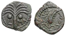 Prokuratoren: M. Ambibulus