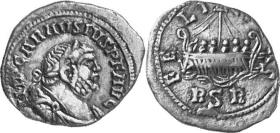Carausius