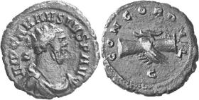Carausius