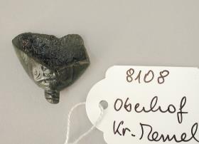 Ortband