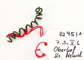 Spiralröllchen