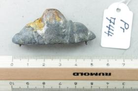Schwertknauf