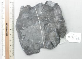 Bronzeschalenfragment