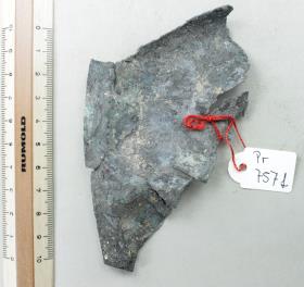 Bronzeschalenfragment