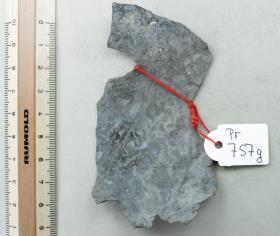 Bronzeschalenfragment