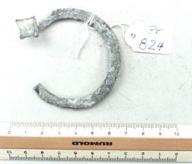 Hufeisenfibel