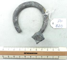 Hufeisenfibel