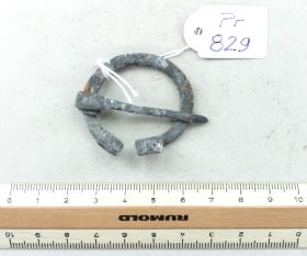 Hufeisenfibel