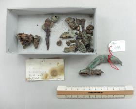 Armbrustfibelfragment