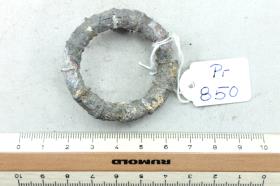 Ringfibel