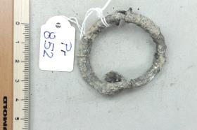 Ringfibel