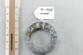 Ringfibel