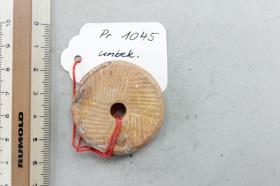 Spinnwirtel