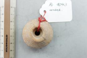 Spinnwirtel