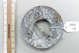 Ringfibel