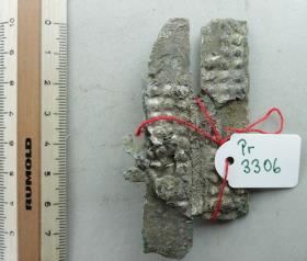 Sprossenfibelfragment