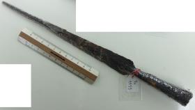 Lanzenspitze