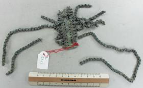 Kettenverteiler