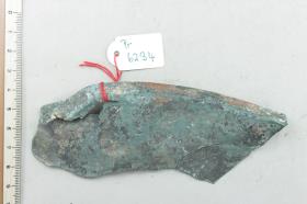 Bronzeschalenfragment