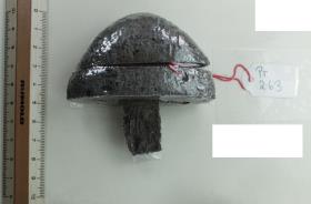 Schwertknauf