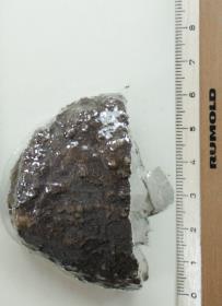 Schwertknauf