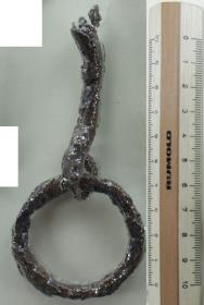 Ringtrense